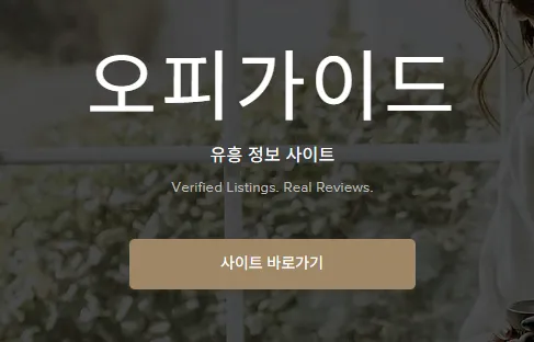 오피가이드 1